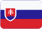 AMERICAN INTERNATIONAL TRADING COMPANY Slovensky